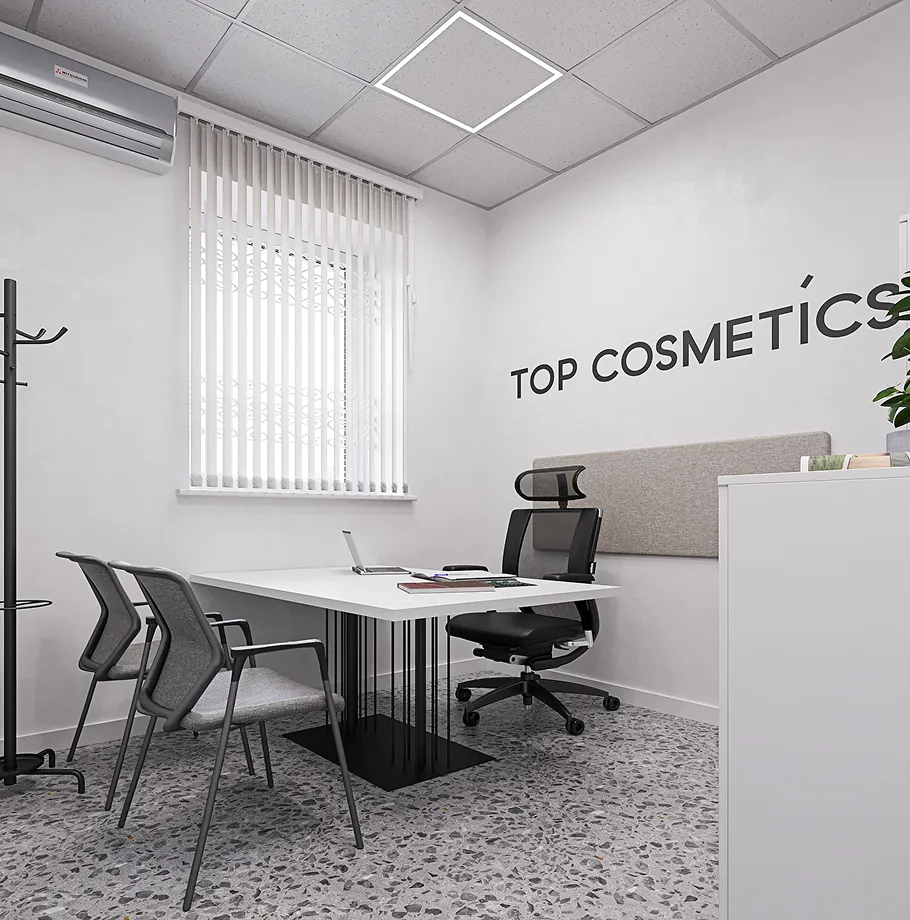 Сучасний інтер'єр Офіс TOP COSMETICS: візуалізація 8
